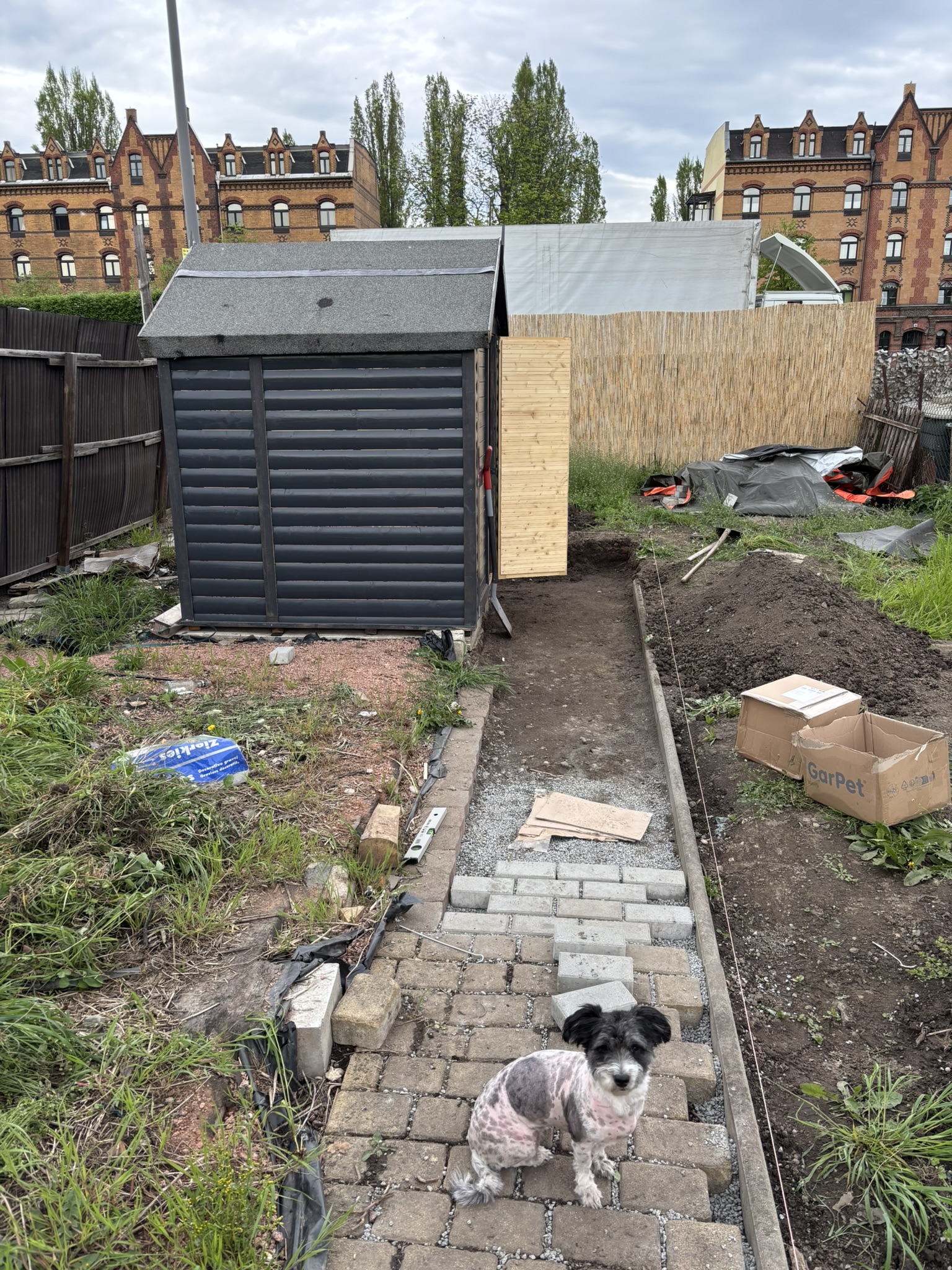 Mi jardín en construcción